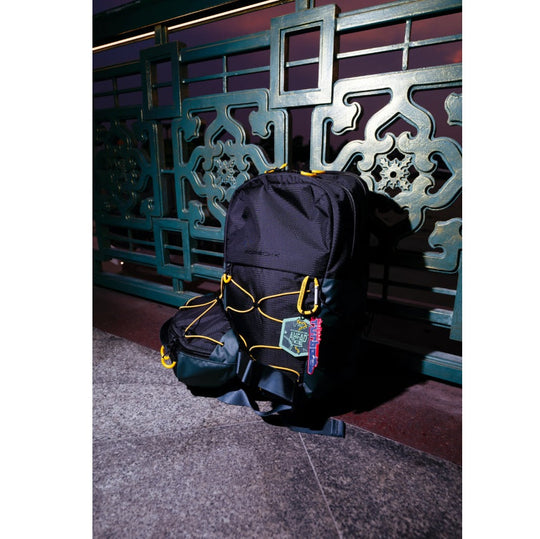 Porsche Backpack - AHEAD
