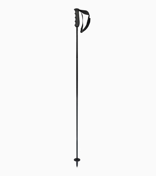 Porsche Head - Carbon Ski Poles